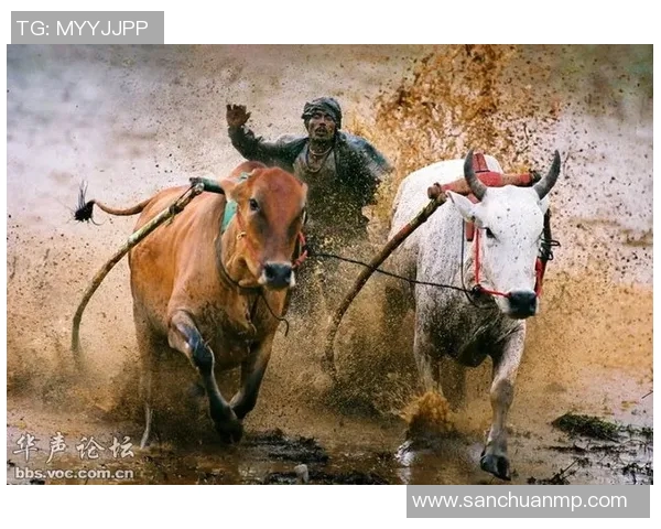 印尼军队与塞曼巴东的较量揭示东南亚安全局势新动态