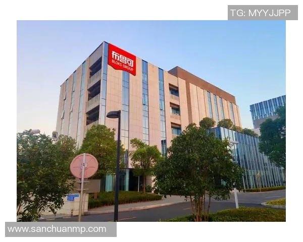 原帅：从新星崛起到行业领军者的奋斗历程与未来展望