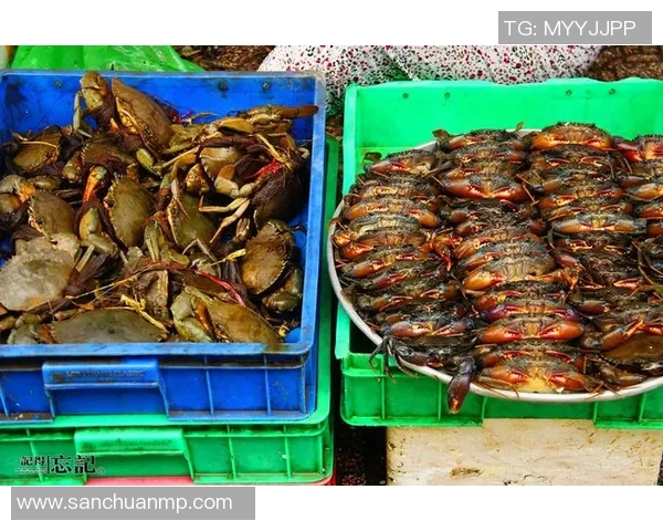 西贡与河静红林的精彩对决揭示越南足球新格局与未来发展潜力