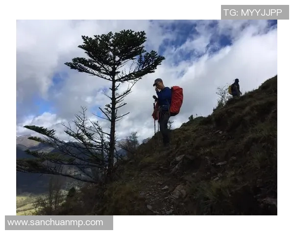 斯通斯的传奇之旅：从摇滚乐坛到文化符号的演变与影响