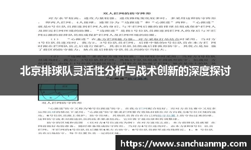 北京排球队灵活性分析与战术创新的深度探讨
