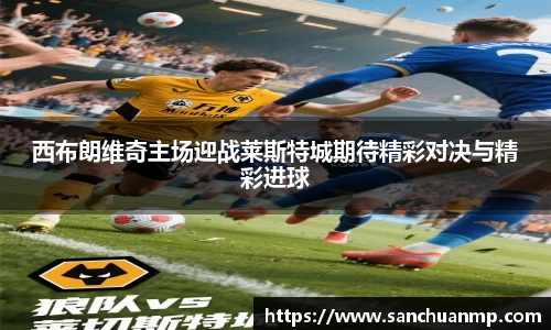 西布朗维奇主场迎战莱斯特城期待精彩对决与精彩进球