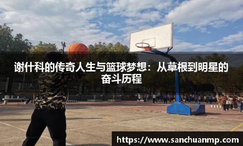 芒果体育